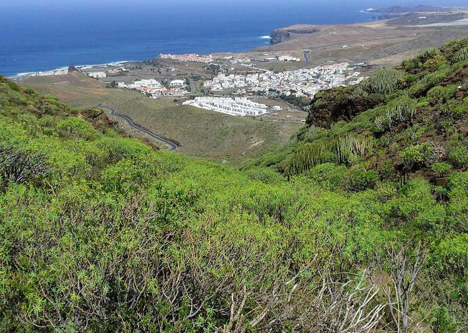 Apartamento Playa Agaete Agaete  Eksteriør billede